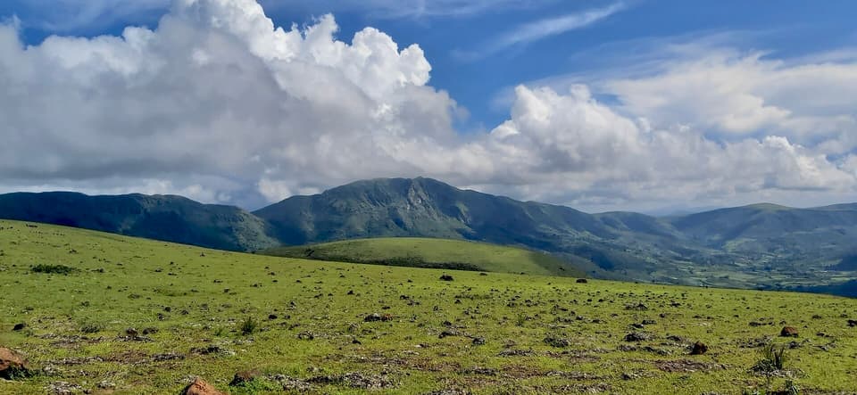 Deomali, Koraput