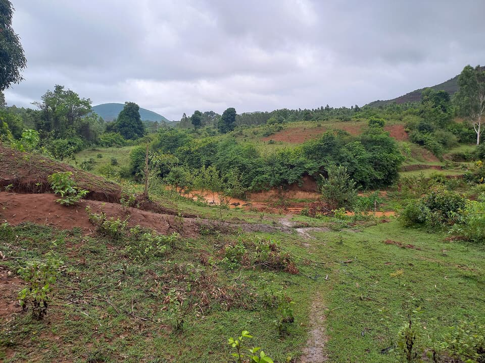 Green valley near Sunabeda in the monsoon, Koraput district