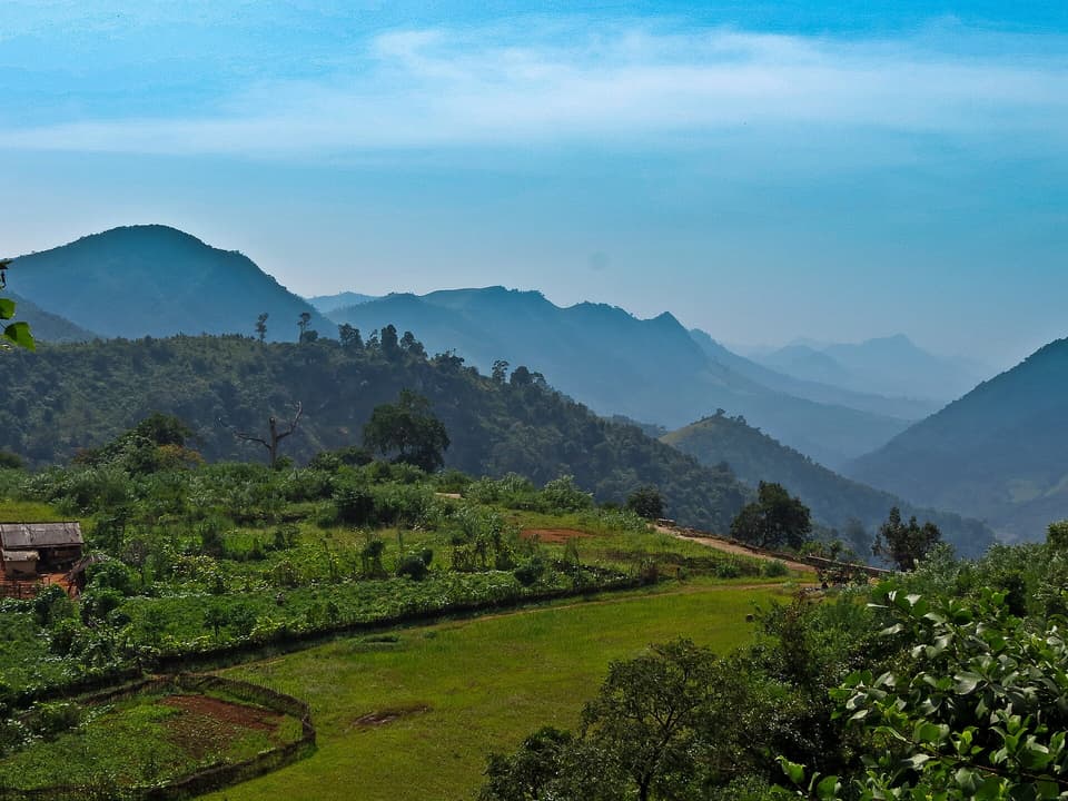 Onukadelli, Koraput